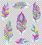 Set of colorful feathers on transparent background. Stickers for scrapbooking,gift boxes,skins,cases,wallets etc. Vector illustration.