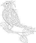 Fantasy bird. Black hand drawn doodle. Sketch for adult antistress coloring page, tattoo