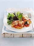 Dish of baked cannelloni