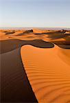 Sand dunes in desert landscape