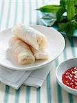 Plate of salad rolls and sauce