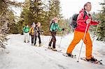 Cross country skiers in trees