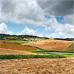 Mown Wheat Field on the Hills in Sicily
