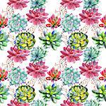 Wildflower succulentus flower pattern in a watercolor style isolated. Full name of the plant: succulentus. Aquarelle wild flower for background, texture, wrapper pattern, frame or border.