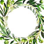 Olive tree frame in a watercolor style isolated. Full name of the plant: Branches of an olive tree. Aquarelle olive tree for background, texture, wrapper pattern, frame or border.