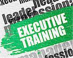 Education Service Concept: Executive Training - on White Brickwall with Word Cloud Around. Modern Illustration. Executive Training Modern Style Illustration on Green Grunge Paint Stripe.