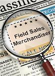 Field Sales Merchandiser - Job Vacancy in Newspaper. Field Sales Merchandiser - Close View Of A Classifieds Through Magnifier. Concept of Recruitment. Blurred Image with Selective focus. 3D.