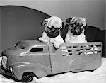 1940s TWO FUNNY PUG DOG PUPPIES SITTING IN BACK OF TOY TRUCK