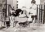 1920s SMILING LITTLE GIRL WATCHED BY GERMAN SHEPHERD DOG PLAYING WITH BABY DOLL IN TOY WICKER CARRIAGE OUTSIDE FRONT DOOR