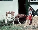 1950s GIRL WEARING RED SLACKS GREEN SWEATER SITTING ON HAY BALE BY BARN HAND FEEDING GUERNSEY CALF FROM MILK BOTTLE