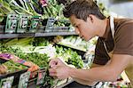 Sales assistant working in a supermarket