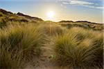 Sun shining over the grassy sand dunes in the village of Seahouses at the North Sea in Northumberland, England, United Kingdom