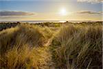 Path through sand dunes to the North Sea at sunrise at Bamburgh in Northumberland, England, United Kingdom