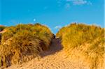 Path through sand dunes with moon in the bright morning sky at the North Sea at Bamburgh in Northumberland, England, United Kingdom