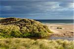 Wind blowing the dune grass on the beach with a small river and the North Sea in the background at Bamburgh in Northumberland, England, United Kingdom