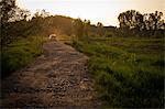 Rear view of car driving along dusty dirt track at sunset