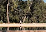 Female tourist looking sideways by lake in Labyrinth Park of Horta, Barcelona, Spain