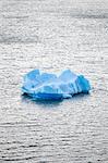 Iceberg floating in Grey lake, Torres del Paine national park, Chile