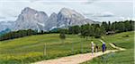 Alpe di Siusi/Seiser Alm, Dolomites, South Tyrol, Italy.