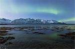 Northern lights is reflected on the icy shore. Spaknesora naturreservat, Djupvik, Lyngenfjord, Lyngen Alps, Troms, Norway, Lapland, Europe.