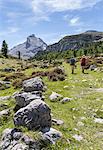 Italy,South Tyrol,Bolzano district,San Vigilio di Marebbe, Hikers in Fanes valley with Mount Piz Taibun in the background