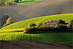 Countryside of Morrovalle village , Macerata district, Marches, italy