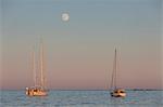 Mooring aailboats during the sunset (Lerins Islands, Cannes, Grasse, Alpes-Maritimes department, Provence-Alpes-Cote d'Azur region, France, Europe)