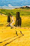 Rolling Hills in Orcia valley, Tuscany district, Siena province, Italy, Europe.