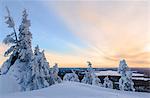 The sun frames the snowy landscape and woods in the cold arctic winter Ruka Kuusamo Ostrobothnia region Lapland Finland Europe