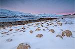 Panorama of pink sky at dawn on snowy fields and wooden hut surrounded by frozen sea Svensby Lyngen Alps Tromsø Norway Europe