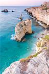 Reef of Siracusa Europe, Italy, Sicily region, Siracusa district