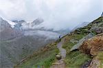 Mountain path to Larcher refuge Europe, Italy, Trentino region, Pejo valley, Venezia valley, Sun valley, National Park Stelvio