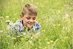 Boy lying in meadow, picking flowers