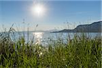 Reeds along the shoreline with sun shining over Lake Garda (Lago di Garda) in Garda in Veneto, Italy