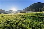 Morning sun shining over a misty meadow in the mountains at Prags Dolomites in Bolzano Province (South Tyrol), Italy
