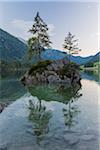 Small rock island with trees on Lake Hintersee with mountains at dawn at Ramsau in the Berchtesgaden National Park in Upper Bavaria, Bavaria, Germany