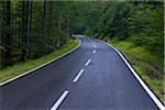 Paved road through forest after rain at Spiegelau in the Bavarian Forest National Park in Bavaria, Germany