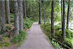 Lakeside path on Lake Grosser Arbersee, Bayerisch Eisenstein in the Bavarian Forest in Bavaria, Germany