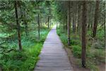 Boardwalk at Lake Grosser Arbersee in Bayerisch Eisenstein in the Bavarian Forest in Bavaria, Germany