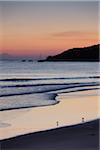 Scenic view of surf on the beach with two sandpipers at Byron Bay in New South Wales, Australia