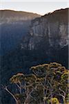 Rock formations of the elevated plateau in the Blue Mountains National Park in New South Wales, Australia