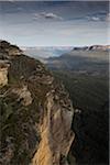 Scenic view of the elevated plateau in the Blue Mountains National Park in New South Wales, Australia