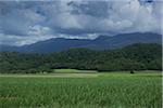 Farmland and mountain range outside of Cairns in Queesnland, Australia