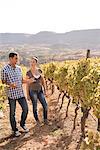 Winemaking couple discussing vines in vineyard, Las Palmas, Gran Canaria, Spain