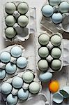 Blue and green chicken eggs in cartons