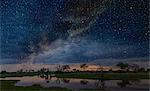 Starry night sky over swamp, Okavango Delta, Botswana, Limpopo, South Africa, Africa