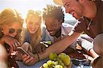 Young friends texting with cell phone, enjoying sunny summer picnic