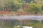 View across a calm lake to trees with autumn foliage, mist over the lake and reflections of the birches and maples in the water.