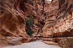 Man walking along path through rock formations at Petra, Jordan.