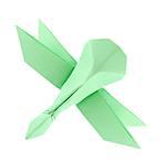 Green dragonfly of origami, isolated white background.